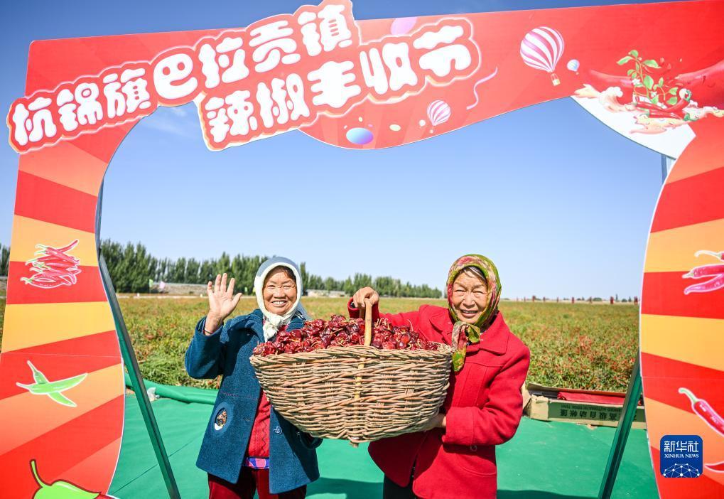 龙八国际手机版下载